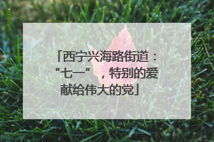 西宁兴海路街道：“七一”，特别的爱献给伟大的党