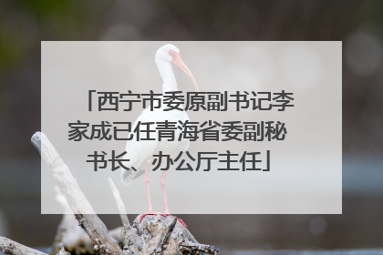 西宁市委原副书记李家成已任青海省委副秘书长、办公厅主任