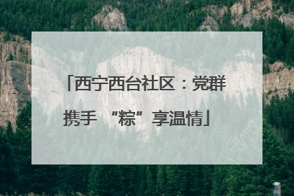 西宁西台社区：党群携手 “粽”享温情