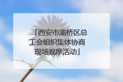 西安市灞桥区总工会组织集体协商现场观摩活动