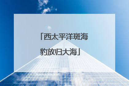 西太平洋斑海豹放归大海