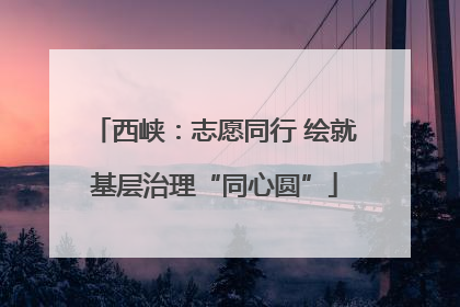 西峡：志愿同行 绘就基层治理“同心圆”