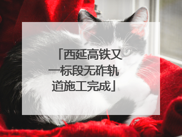 西延高铁又一标段无砟轨道施工完成