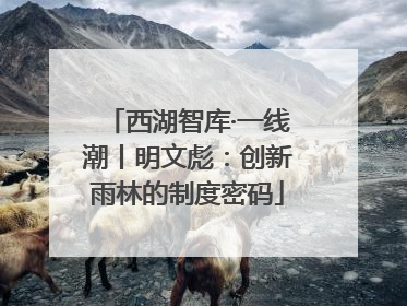 西湖智库·一线潮丨明文彪：创新雨林的制度密码