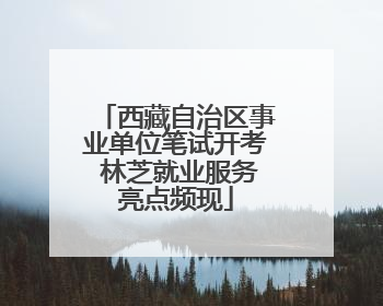 西藏自治区事业单位笔试开考 林芝就业服务亮点频现