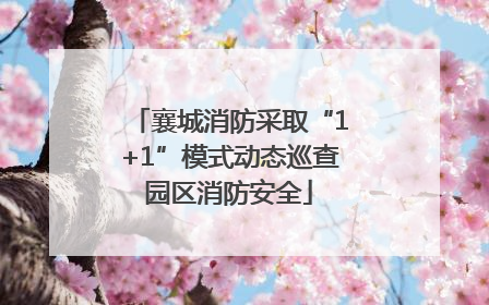 襄城消防采取“1+1”模式动态巡查园区消防安全