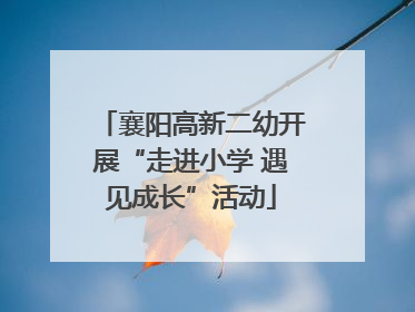 襄阳高新二幼开展“走进小学 遇见成长”活动