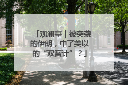 观澜亭｜被突袭的伊朗，中了美以的“双簧计”？