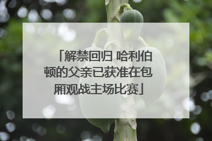 解禁回归 哈利伯顿的父亲已获准在包厢观战主场比赛