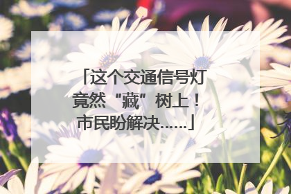这个交通信号灯竟然“藏”树上！市民盼解决……