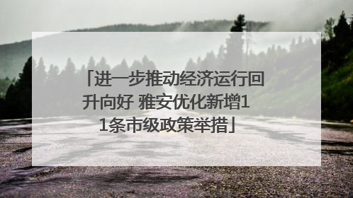 进一步推动经济运行回升向好 雅安优化新增11条市级政策举措
