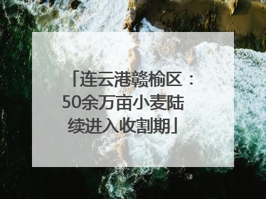 连云港赣榆区：50余万亩小麦陆续进入收割期