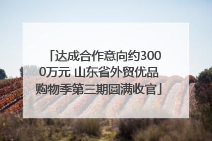 达成合作意向约3000万元 山东省外贸优品购物季第三期圆满收官