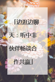 边逛边聊天：听中非伙伴畅谈合作共赢