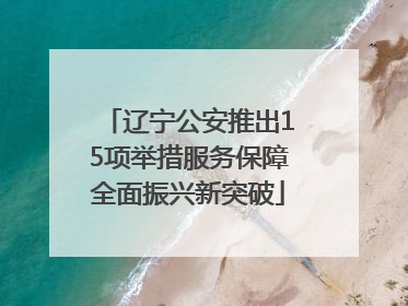 辽宁公安推出15项举措服务保障全面振兴新突破
