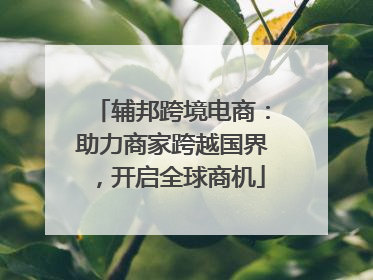 辅邦跨境电商：助力商家跨越国界，开启全球商机