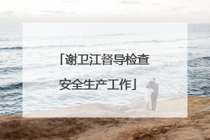 谢卫江督导检查安全生产工作