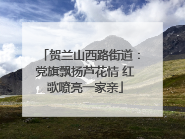 贺兰山西路街道：党旗飘扬芦花情 红歌嘹亮一家亲