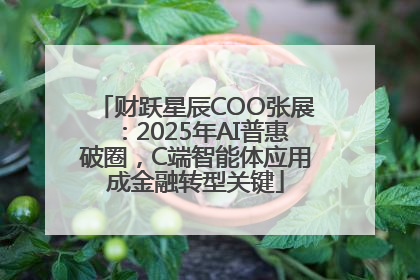 财跃星辰COO张展：2025年AI普惠破圈，C端智能体应用成金融转型关键