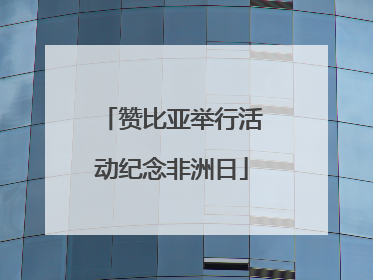 赞比亚举行活动纪念非洲日