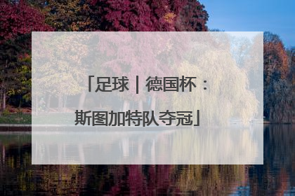 足球｜德国杯：斯图加特队夺冠