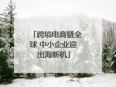 跨境电商链全球 中小企业迎出海新机