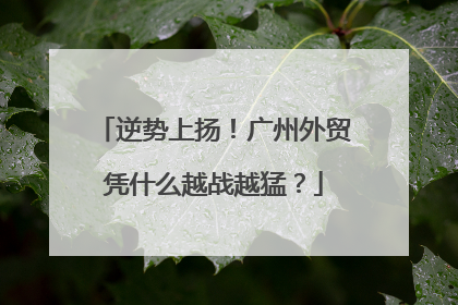 逆势上扬！广州外贸凭什么越战越猛？