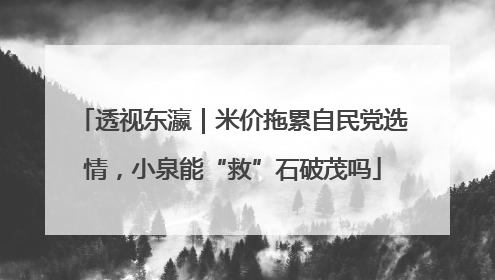 透视东瀛｜米价拖累自民党选情，小泉能“救”石破茂吗