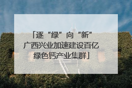 逐“绿”向“新” 广西兴业加速建设百亿绿色钙产业集群