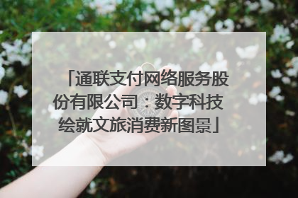 通联支付网络服务股份有限公司：数字科技绘就文旅消费新图景