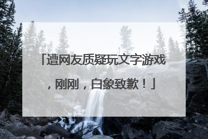 遭网友质疑玩文字游戏，刚刚，白象致歉！