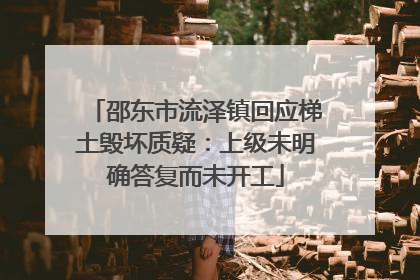 邵东市流泽镇回应梯土毁坏质疑：上级未明确答复而未开工