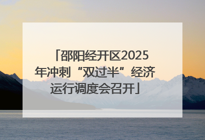 邵阳经开区2025年冲刺“双过半”经济运行调度会召开
