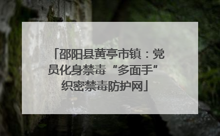 邵阳县黄亭市镇：党员化身禁毒“多面手” 织密禁毒防护网