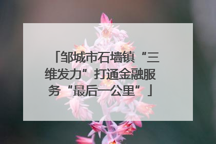 邹城市石墙镇“三维发力”打通金融服务“最后一公里”