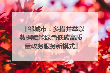 邹城市：多措并举以数据赋能绿色低碳高质量政务服务新模式