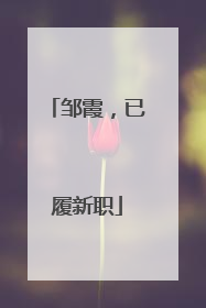 邹霞，已履新职