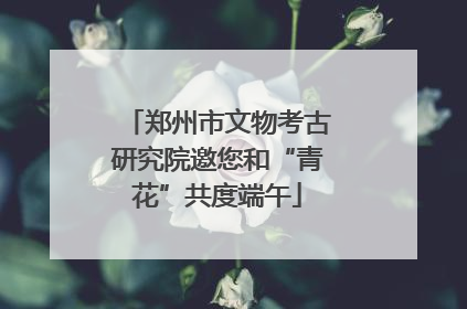 郑州市文物考古研究院邀您和“青花”共度端午