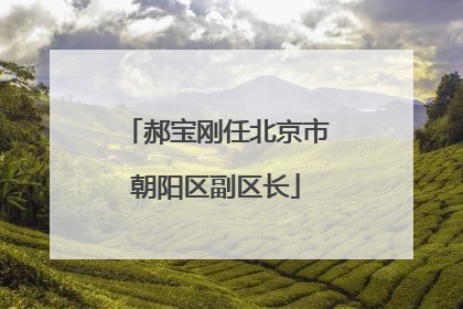 郝宝刚任北京市朝阳区副区长