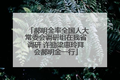 郝明金率全国人大常委会调研组在我省调研 许勤梁惠玲拜会郝明金一行