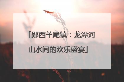 郧西羊尾镇：龙潭河山水间的欢乐盛宴