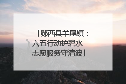 郧西县羊尾镇：六五行动护碧水 志愿服务守清波