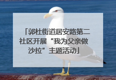郭杜街道居安路第二社区开展“我为父亲做沙拉”主题活动