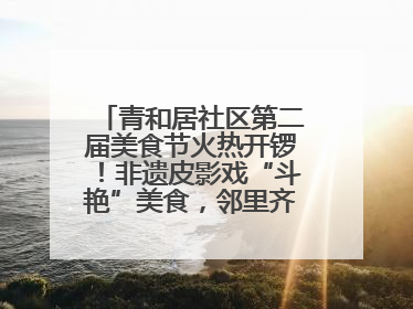 青和居社区第二届美食节火热开锣！非遗皮影戏“斗艳”美食，邻里齐聚“粽”享温情