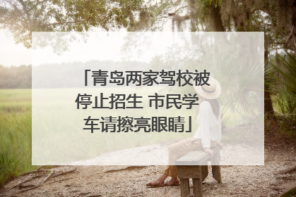 青岛两家驾校被停止招生 市民学车请擦亮眼睛