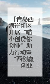 青岛西海岸新区开展“喵小创贷你创业”助力行动暨“西创赢——创业大咖说”主题活动