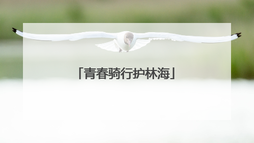 青春骑行护林海