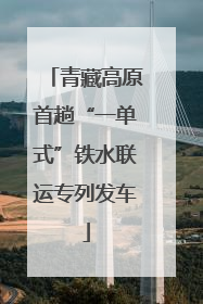 青藏高原首趟“一单式”铁水联运专列发车