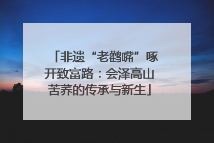 非遗“老鹳嘴”啄开致富路：会泽高山苦荞的传承与新生