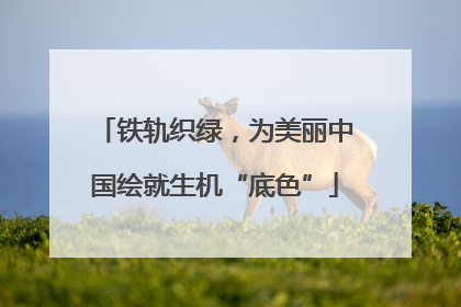 铁轨织绿，为美丽中国绘就生机“底色”